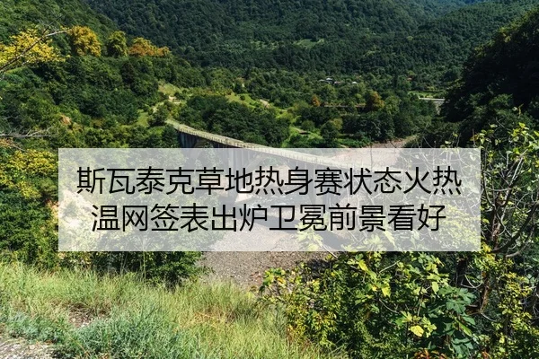 si-wa-tai-ke-cao-di-re-shen-sai-zhuang-tai-huo-re-wen-wang-qian-biao-chu-lu-wei-mian-qian-jing-kan-hao-2-530.jpg