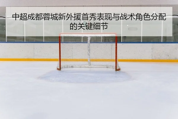 中超成都蓉城新外援首秀表现与战术角色分配的关键细节